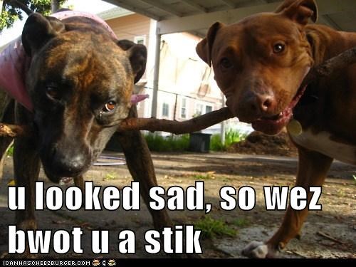 happi stik