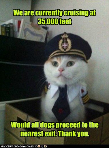 Animal Memes: Captain Kitteh - Sorry, We Forgot the Parachutes