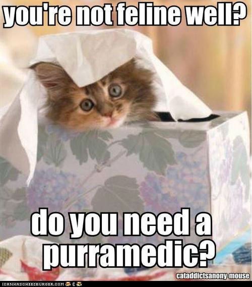 Yes, Please!  Send the Ambulance Immediately!