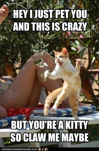 HEY I JUST PET YOU AND THIS IS CRAZY