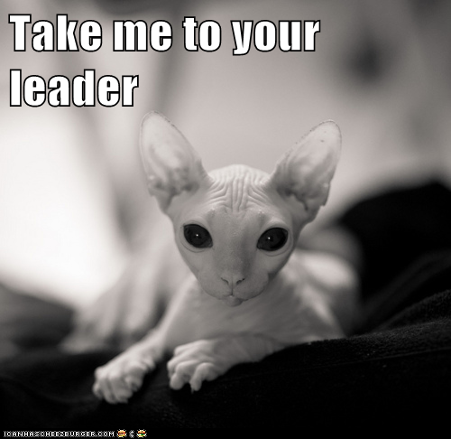 Lolcats: Take me