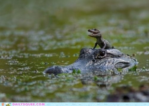Daily Squee: My Dad Could Eat Your Dad! 
