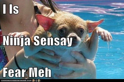 I Is Ninja Sensay Fear Meh