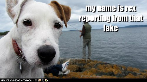 my name is rex  reporting from that  lake