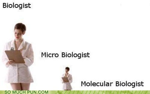 Different Types of Biologists