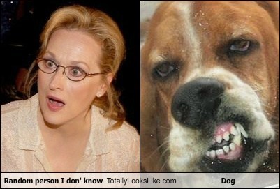 Random person I don' know Totally Looks Like Dog