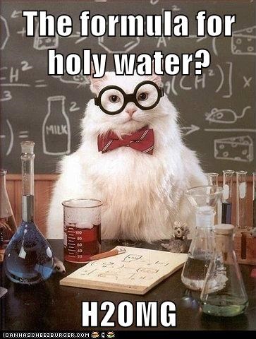 Animal Memes: Chemistry Cat - Seems Obvious Now