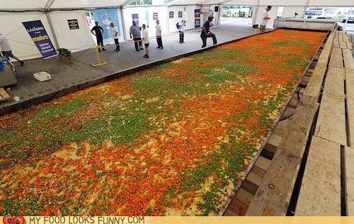 World's Largest Lasagna