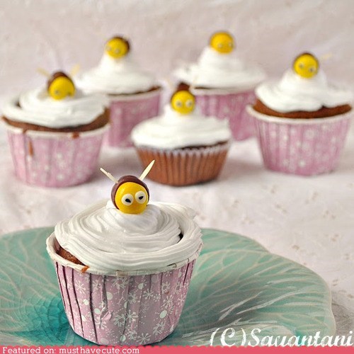 Epicute: Buzzy Honey Cupcakes
