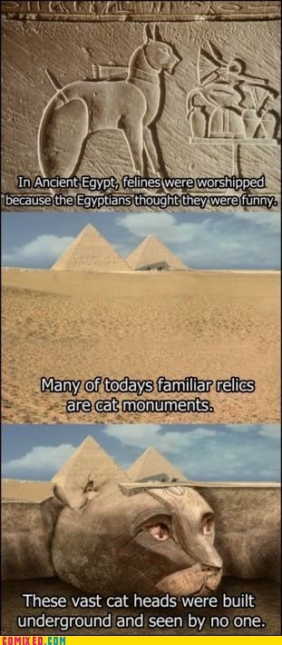 True Cat Facts