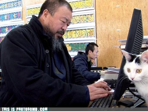 Ai Weiwei: Cat Will Never Unsee