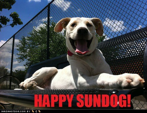 Happy Sundog! 