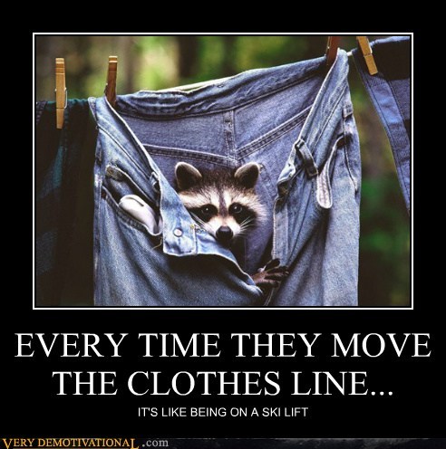 EVERY TIME THEY MOVE THE CLOTHES LINE...