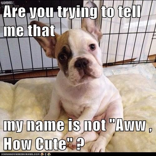 Then what IS my name???