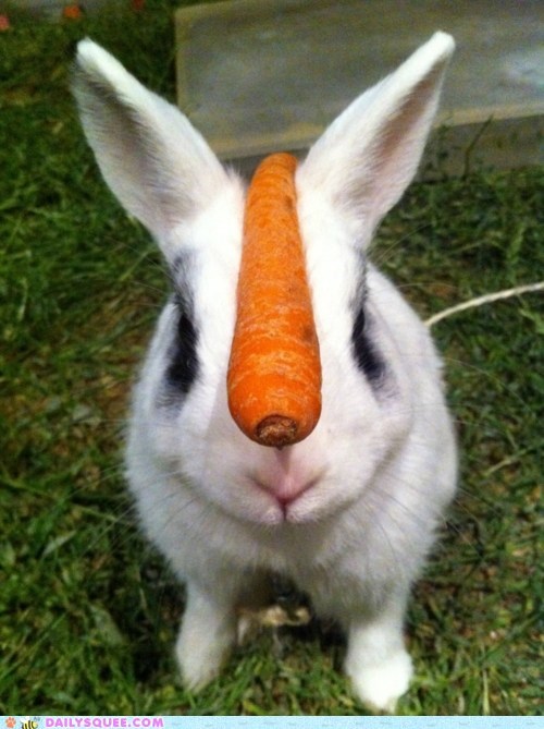 Bunday: Perfect Balance 