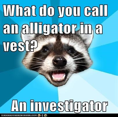 Animal Memes: Lame Pun Coon - He's Surprisingly Terrible at Solving Mysteries