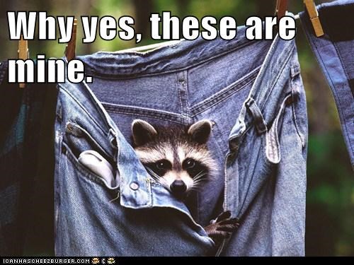 Why yes, these are mine.