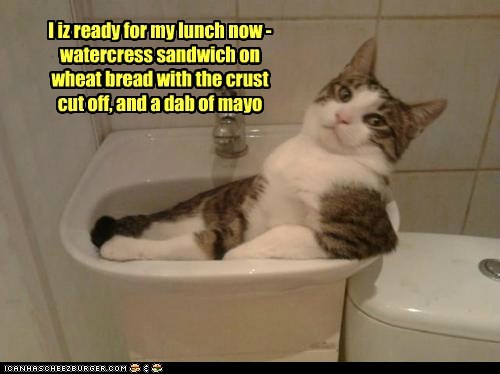 I iz ready for my lunch now - watercress sandwich on wheat bread with the crust cut off, and a dab of mayo