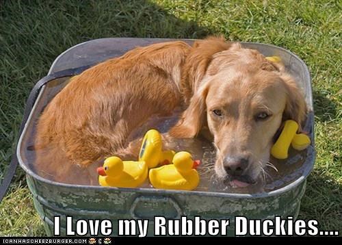 I Love my Rubber Duckies....