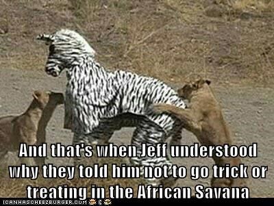 Sometimes a Good Costume is a Bad Idea