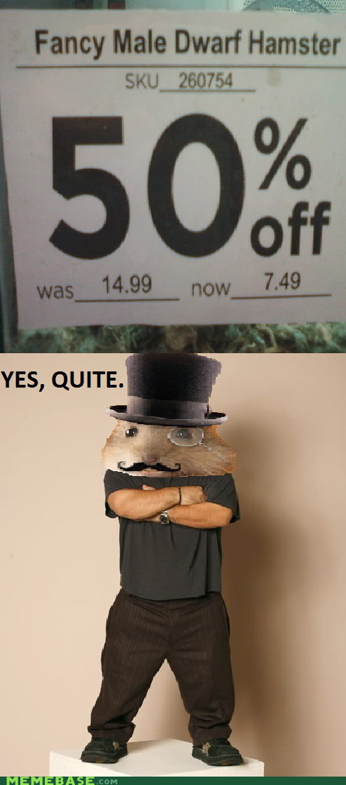 The Fanciest of Rodents