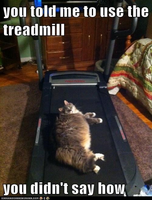 you told me to use the treadmill  you didn't say how