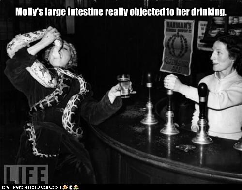 Slow it Down, Molly
