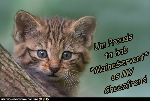 Um Prouds  ta hab *MaineServant* as MY Cheezfrend