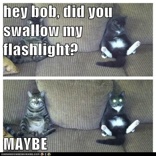 hey bob, did you swallow my flashlight?  MAYBE