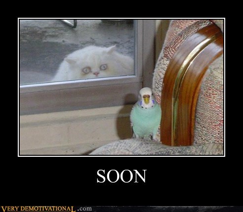 SOON