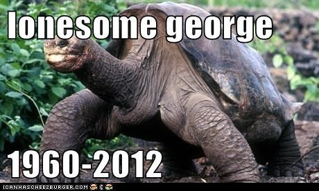 lonesome george   1960-2012