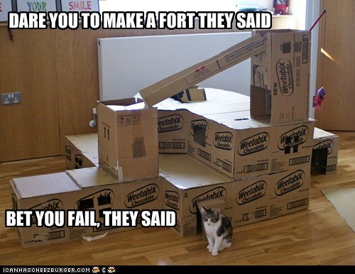 DARE YOU TO MAKE A FORT THEY SAID