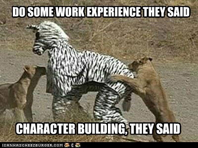 Animal Capshunz: What Experience Am I Even Supposed to be Getting Here?