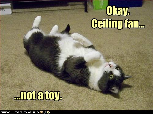 And really only fun for about 5 seconds.