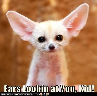 Ears Lookin at You, Kid!