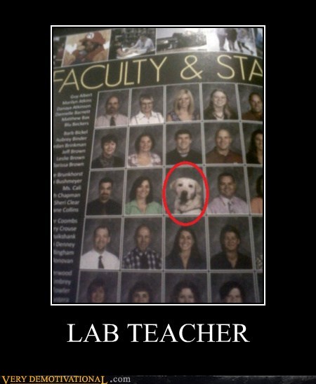 LAB TEACHER