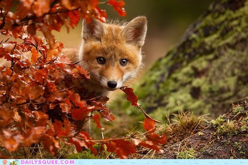 Hiding and Seek 
