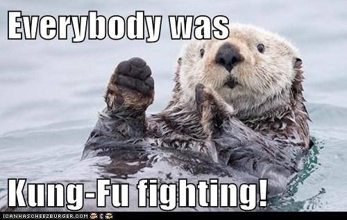 Everybody was  Kung-Fu fighting!