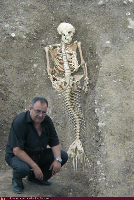 Merskeleton