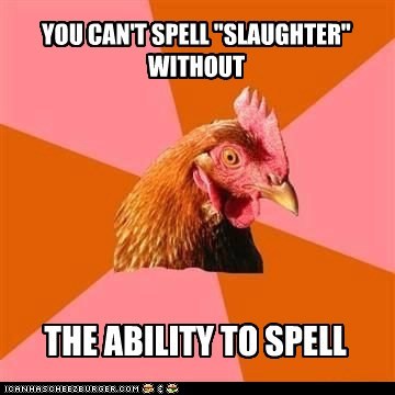 Animal Memes: Anti-Joke Chicken - Any Other Answer is Just Insanity