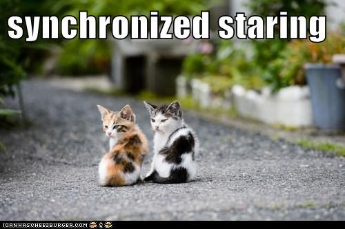 synchronized staring