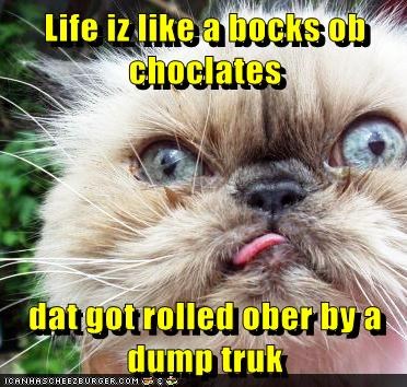 Life iz like a bocks ob choclates  dat got rolled ober by a dump truk