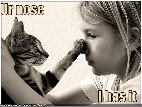 Ur nose  I has it