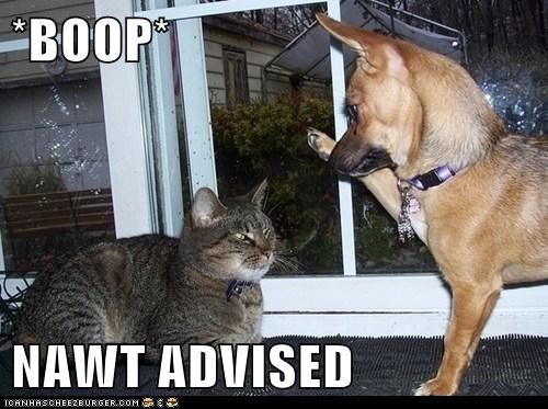 Proceed With Caution 