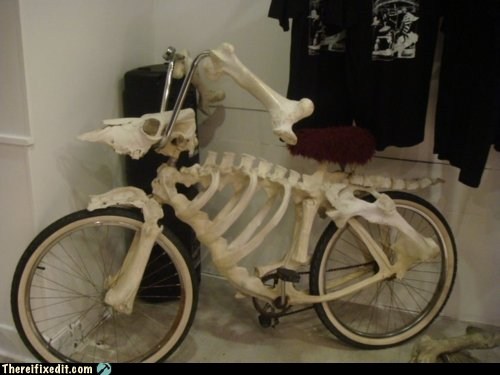 There I Fixed It: The Bonecycle