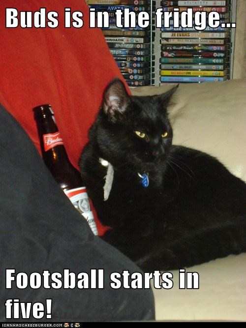 Buds is in the fridge...  Footsball starts in five!