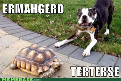 Ermahgerd Ert Hers a Sherll