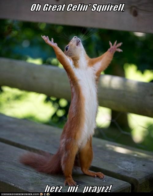 Oh Great Celin' Squirell,  herz   mi   prayrz!