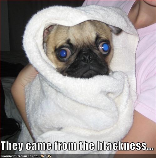 They came from the blackness...