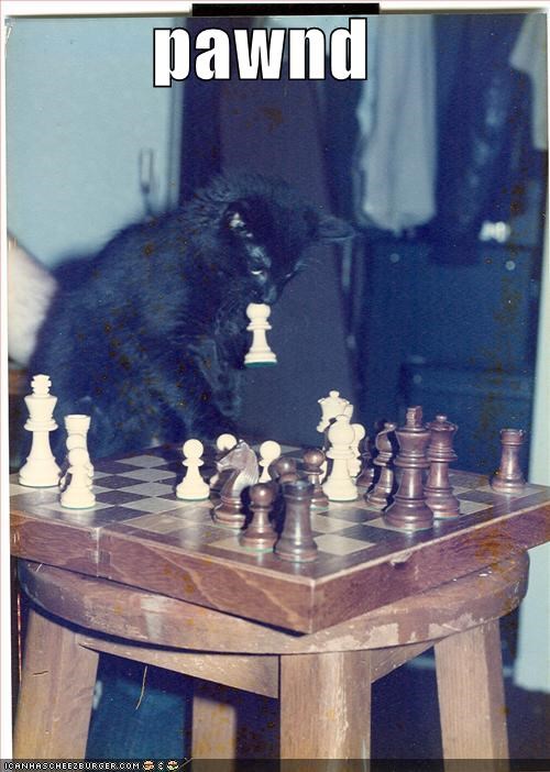 pawnd